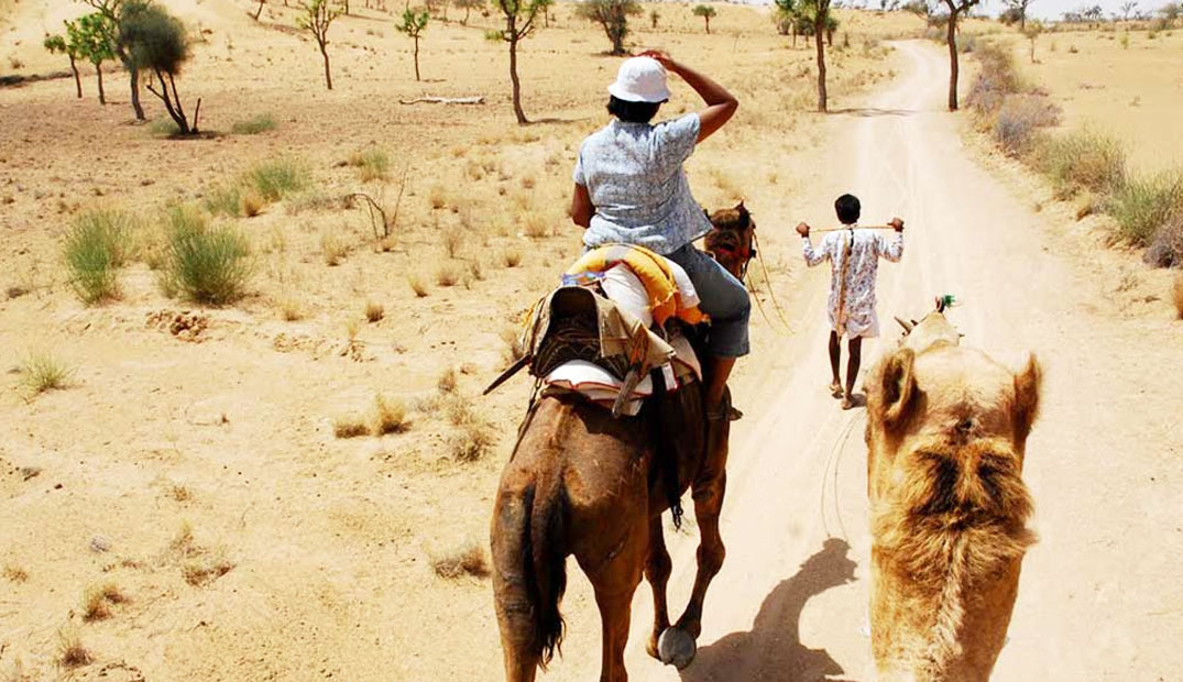 Ranthambore